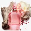LOVE FREQUENCY 10 ML PARFYME